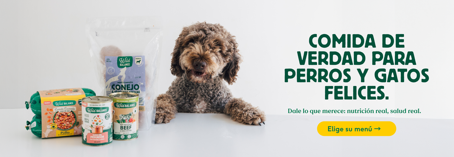 BANNER_SUSCRIPCION_1