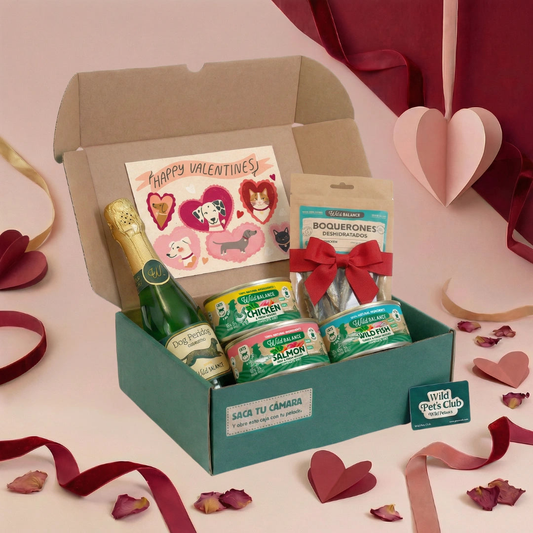 Caja de San Valentín para Gatos