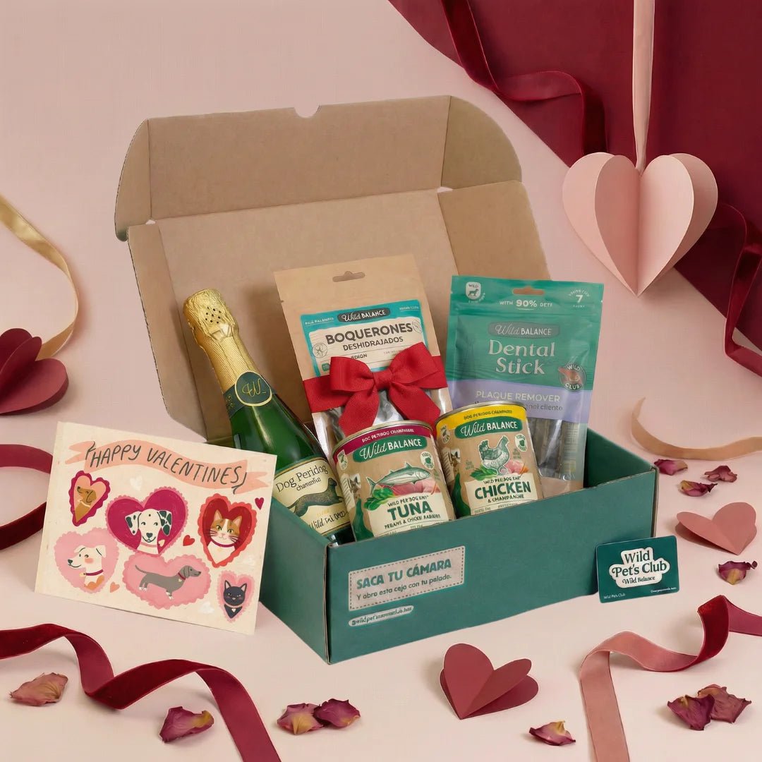 Caja de San Valentín para Perros