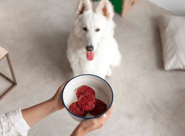 Cómo puede la alimentación BARF prevenir y mejorar enfermedades en mascotas