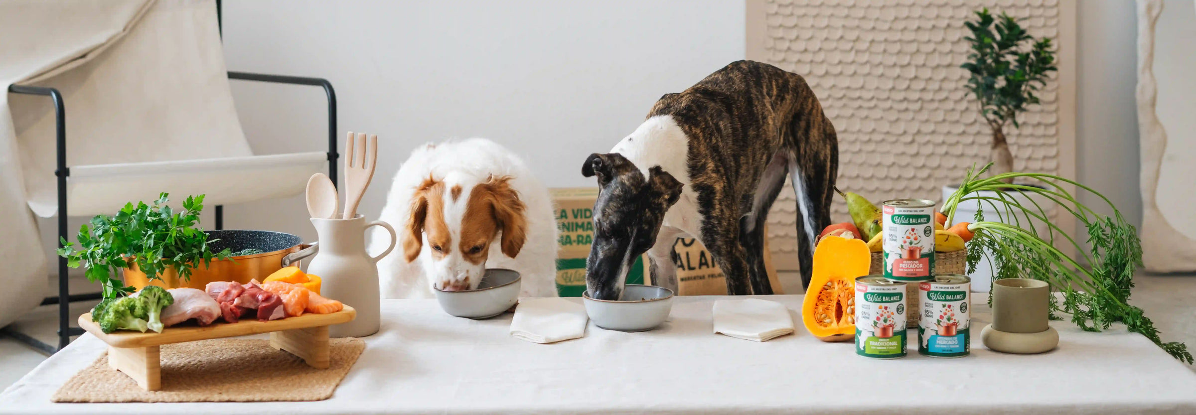 Las Recetas del Chef: Nuevas latas de comida casera