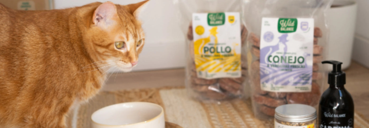 Cómo introducir la dieta BARF a tu gato: salud y felicidad en su plato