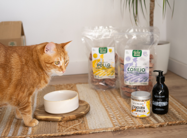 Cómo introducir la dieta BARF a tu gato: salud y felicidad en su plato