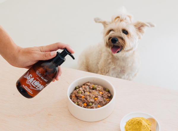 Aceite de salmón para perros y gatos: el mejor suplemento
