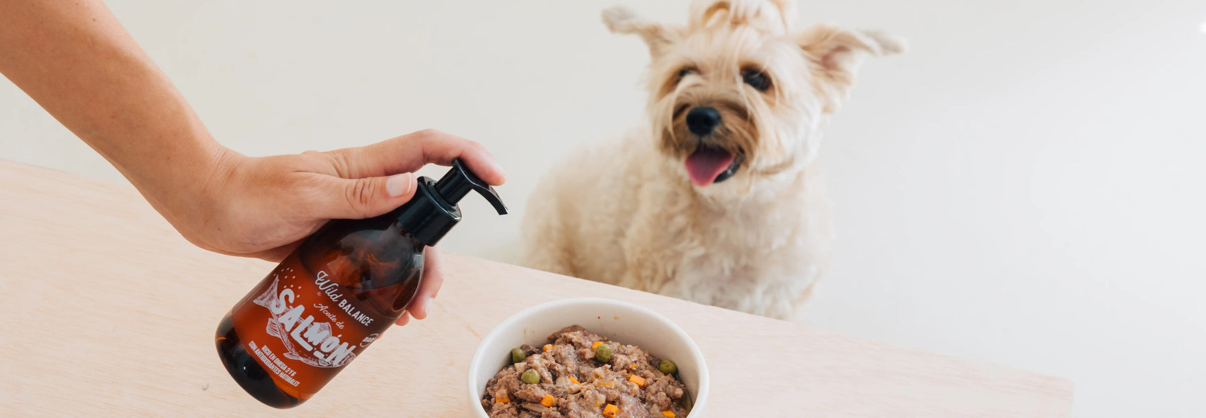 Aceite de salmón para perros y gatos: el mejor suplemento