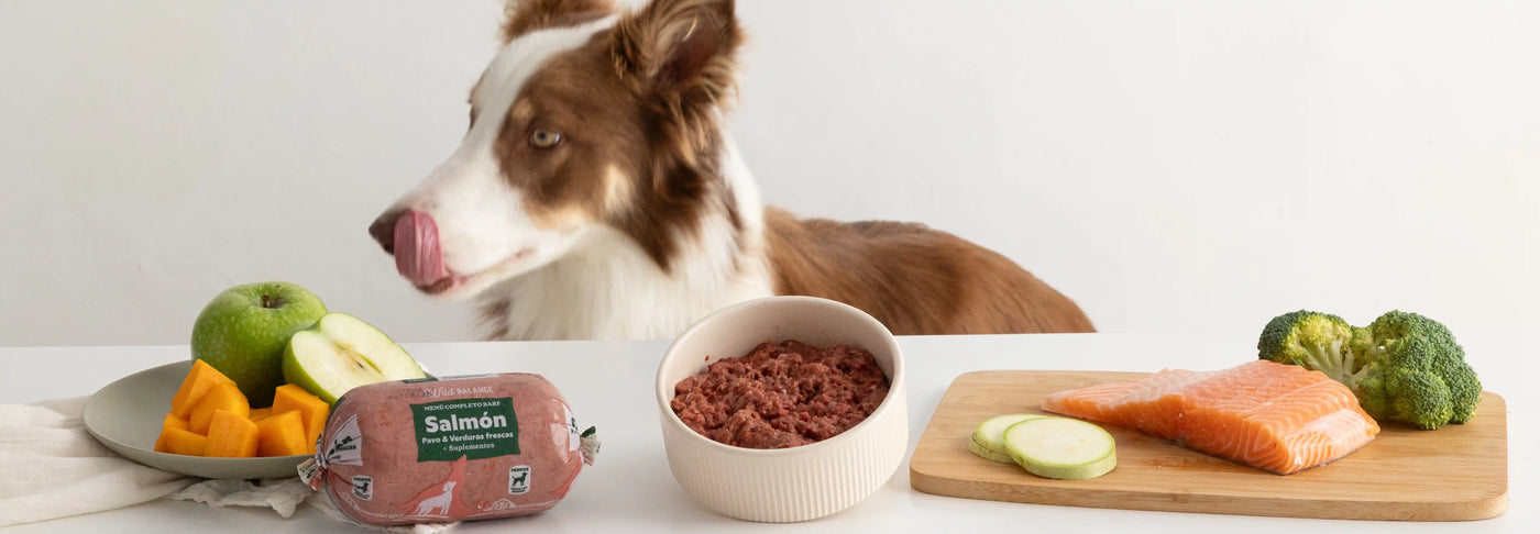Comida BARF para perros medianos y grandes - Guía y beneficios
