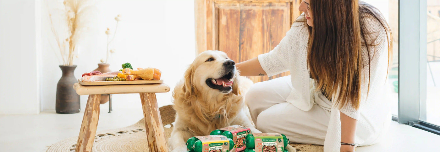 La Revolución de la Comida Cocinada para Perros y Gatos