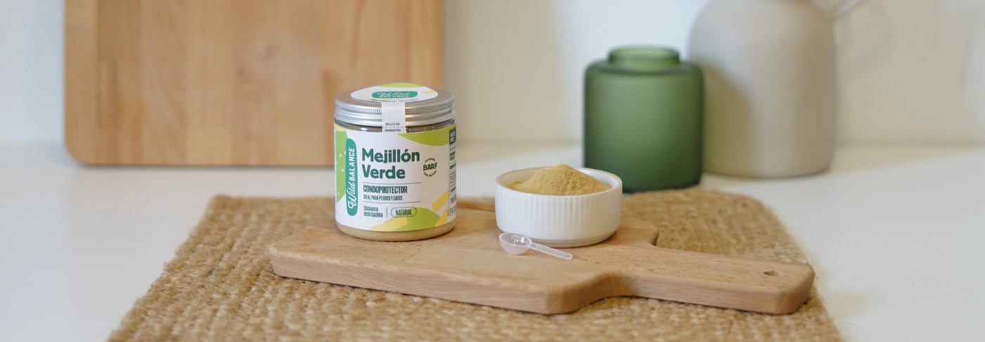 Mejillón de labio verde: qué es, propiedades y beneficios