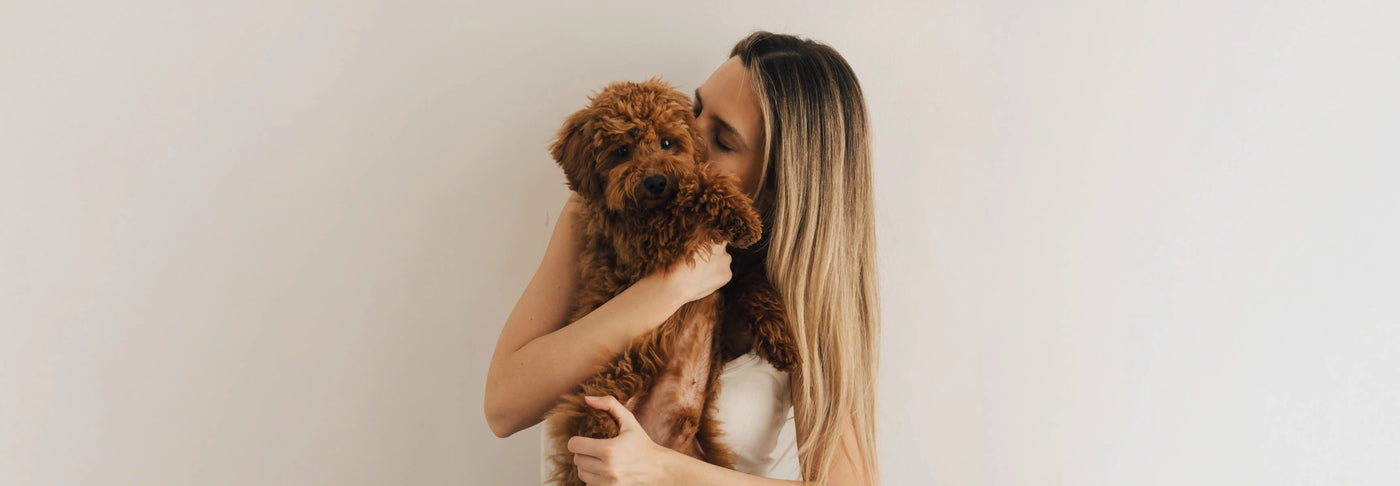 Diarrea en perros: causas y cómo aliviarla de forma natural