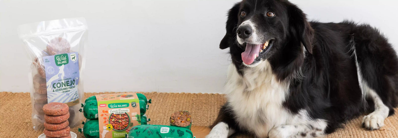 Guía completa para congelar y descongelar comida natural para perros