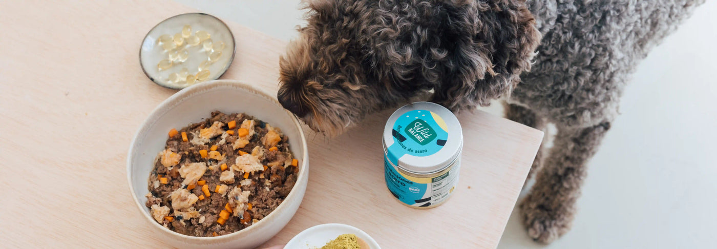 Alimentos con probióticos naturales para perros