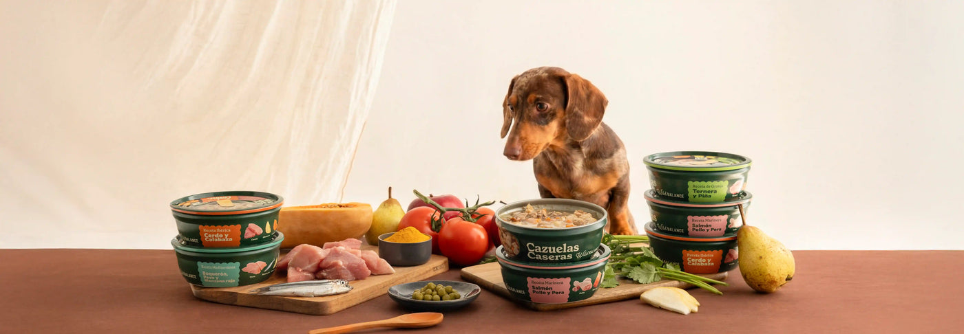 Cazuelas caseras: el nuevo capricho natural para peludos