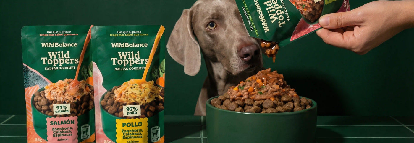 Qué son los toppers para perros y por qué tu peludo los necesita