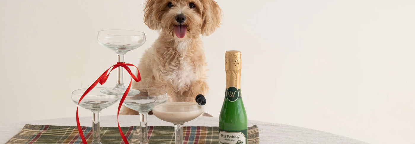 Kéfir para perros y gatos - Cómo incorporarlo a su dieta