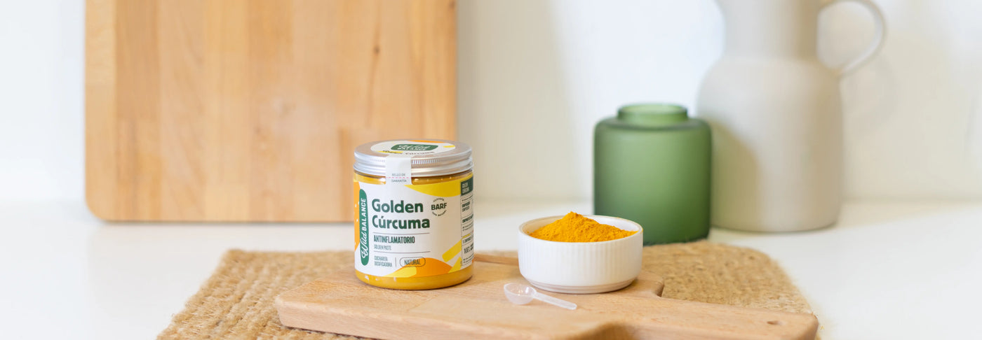 Cómo preparar Golden Paste para mascotas: receta casera con cúrcuma paso a paso