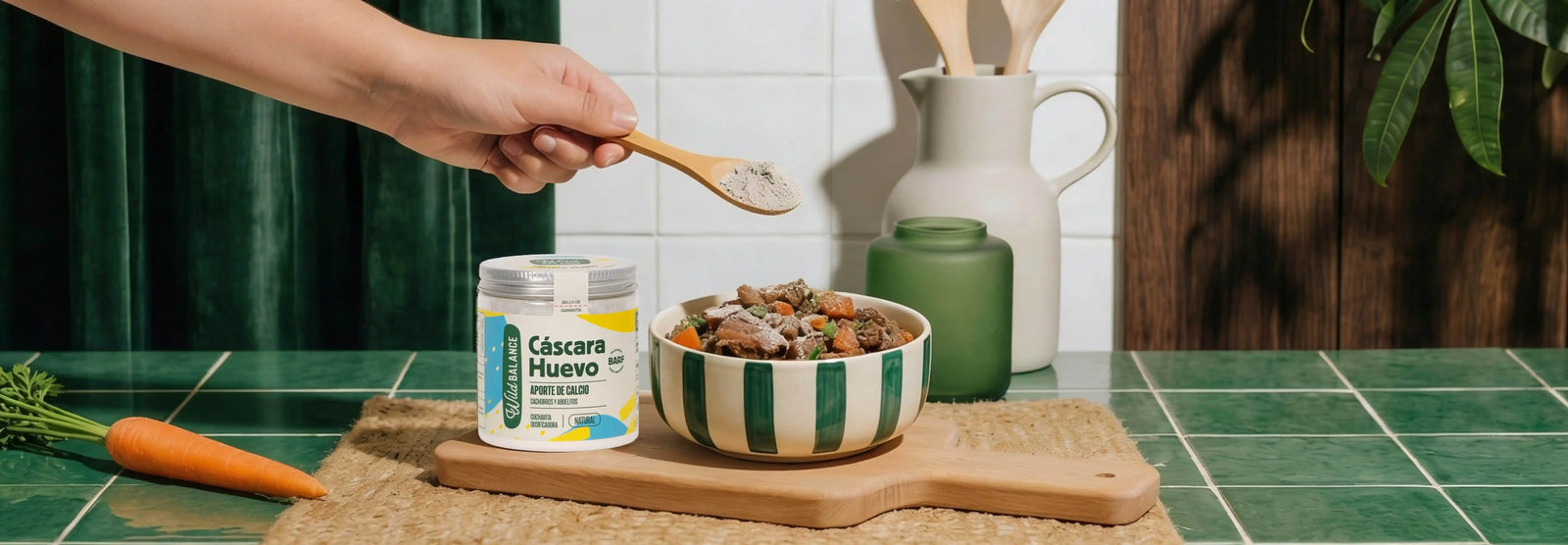 ¿Los perros pueden comer huevo? Beneficios y cómo dárselos