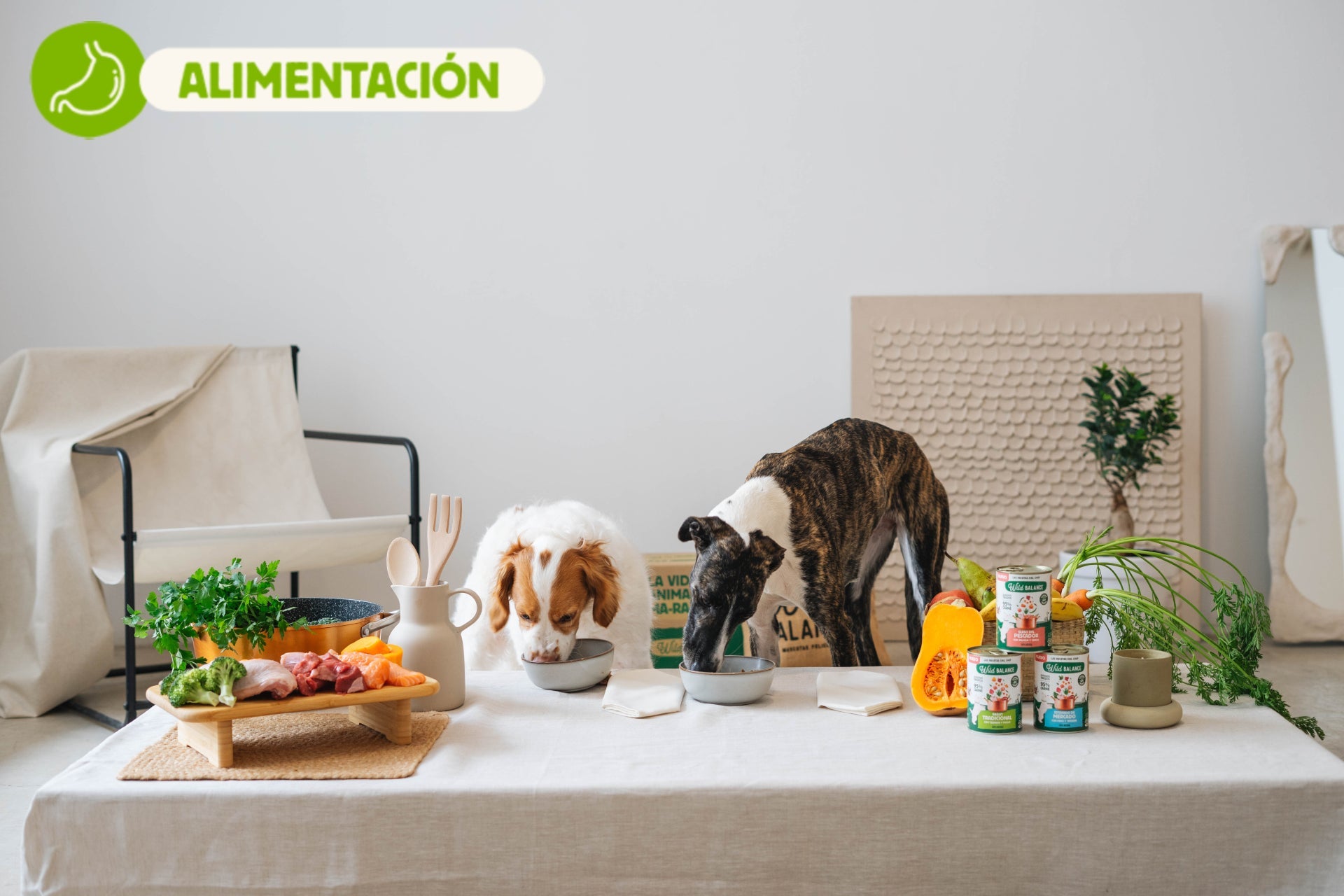 Recetas del Chef
