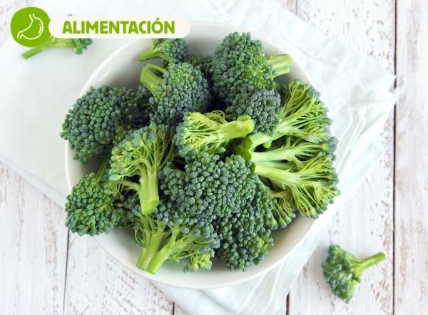 Wild Balance Brócoli en perros y gatos Beneficios y propiedades