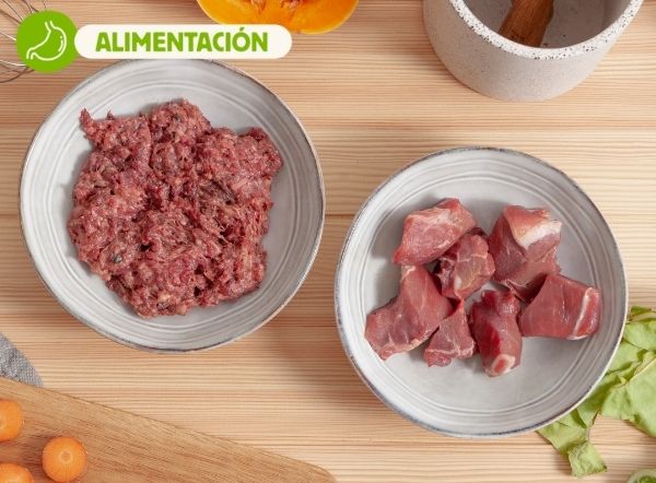 La dieta BARF: El regreso a la comida natural para perros 🐶💚