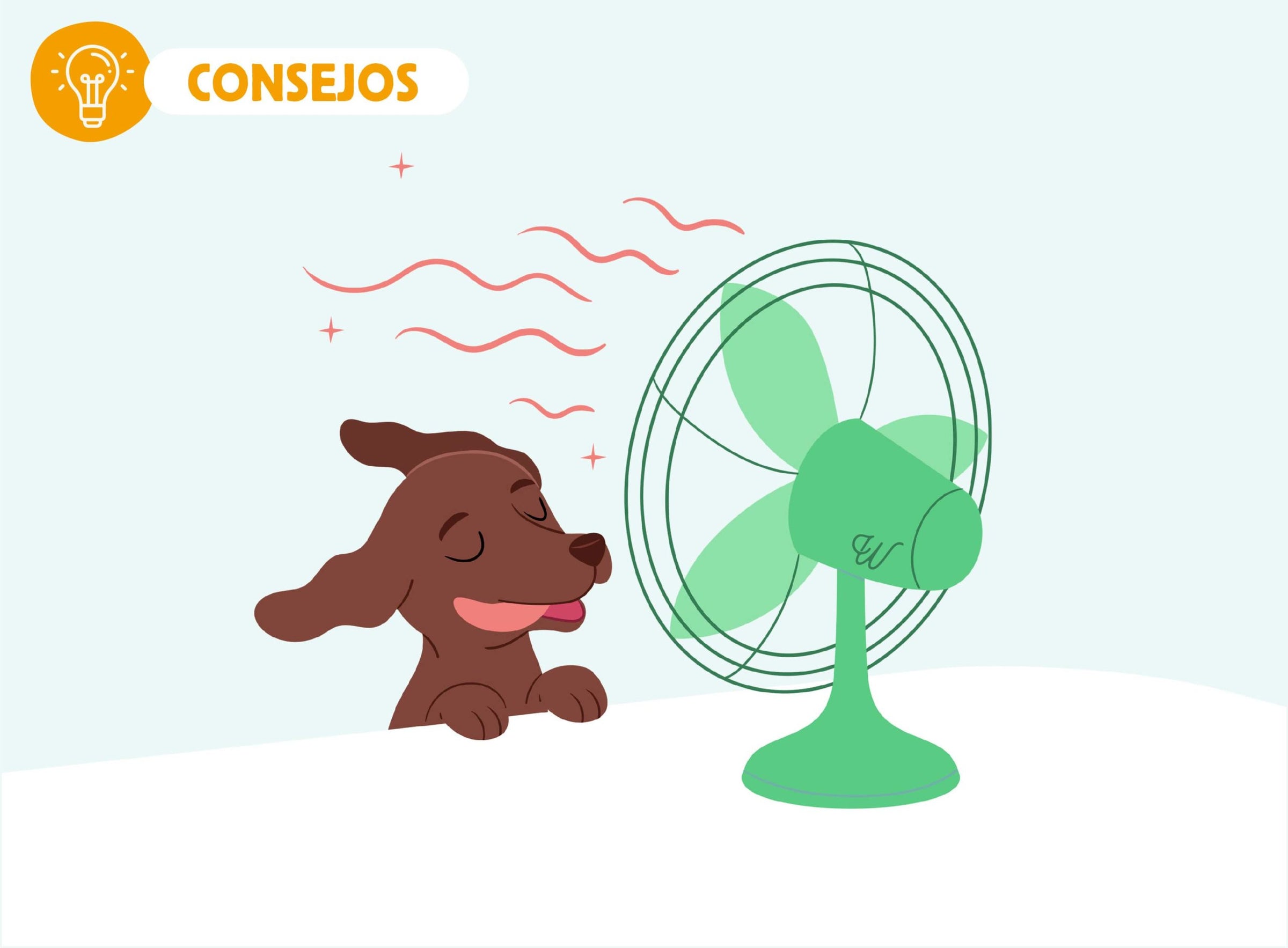 consejos para combatir el calor de tu perro este verano