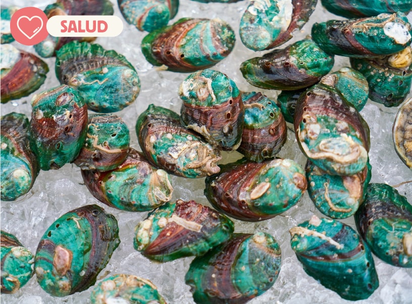 mejillon verde para perros propiedades y beneficios