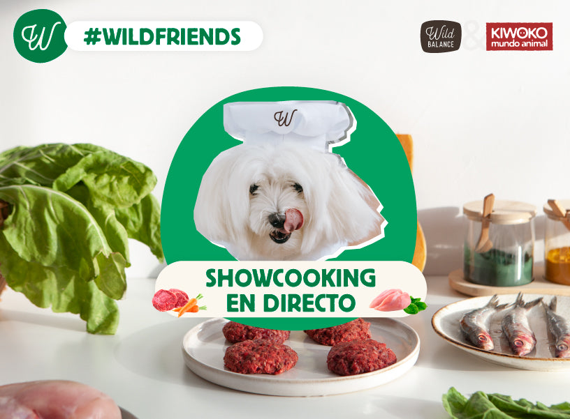 showcooking de wild balance en tiendas kiwoko