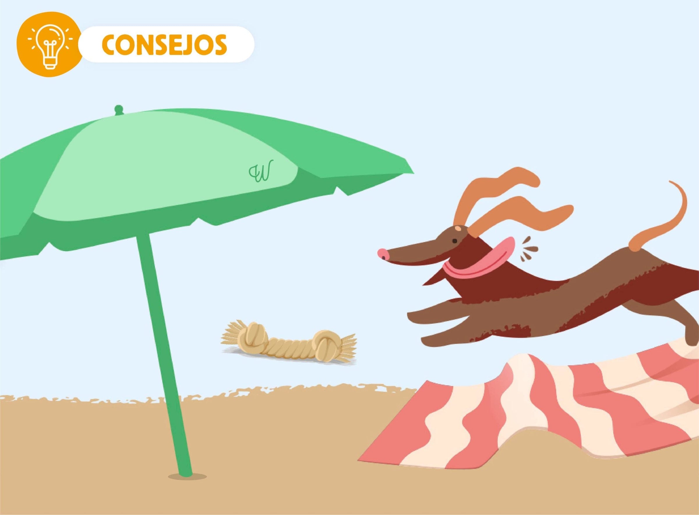 irte de vacaciones y alimentar con dieta BARF a tu peludo