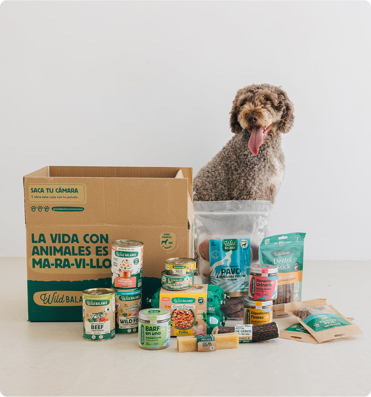 Asesoramiento nutricional experto