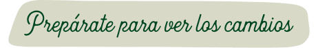 Decorativo