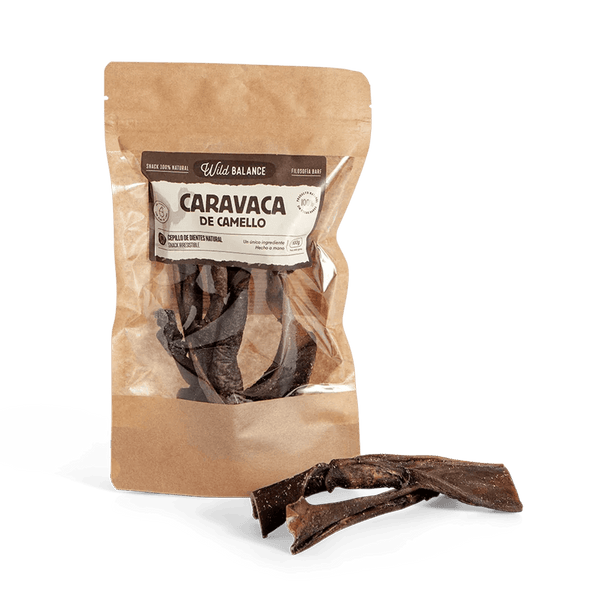 Caravaca de Camello