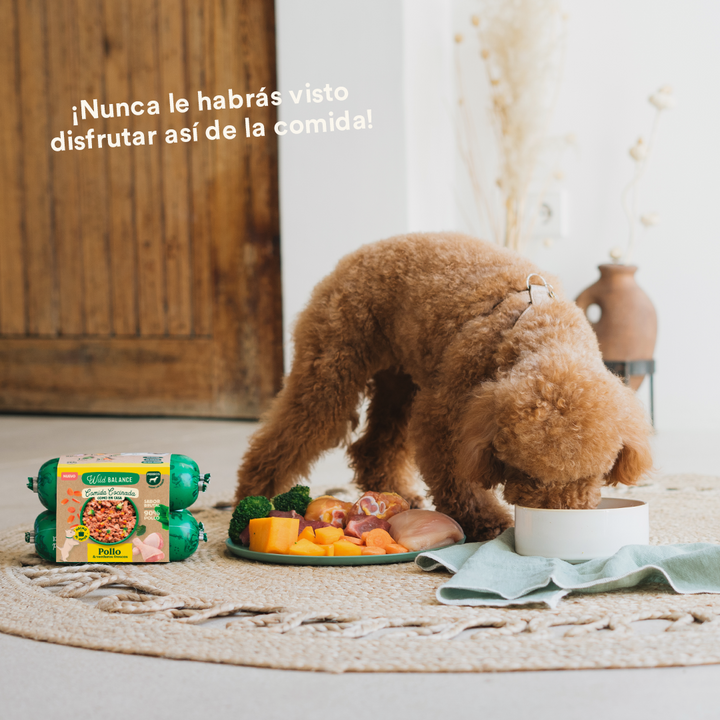 Comida Cocinada de Pollo con verduras para perros-Wild Balance