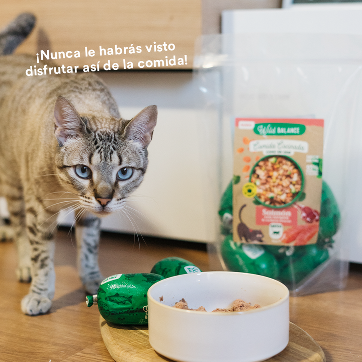 Comida Cocinada de Salmón y Ternera con verduras para gatos-Wild Balance