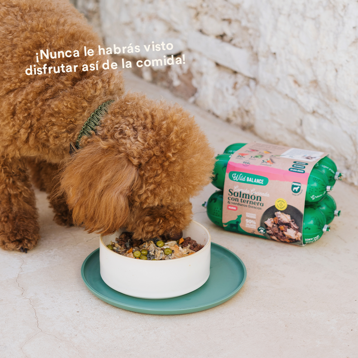 Comida Cocinada de Salmón y Ternera con verduras para perros-Wild Balance