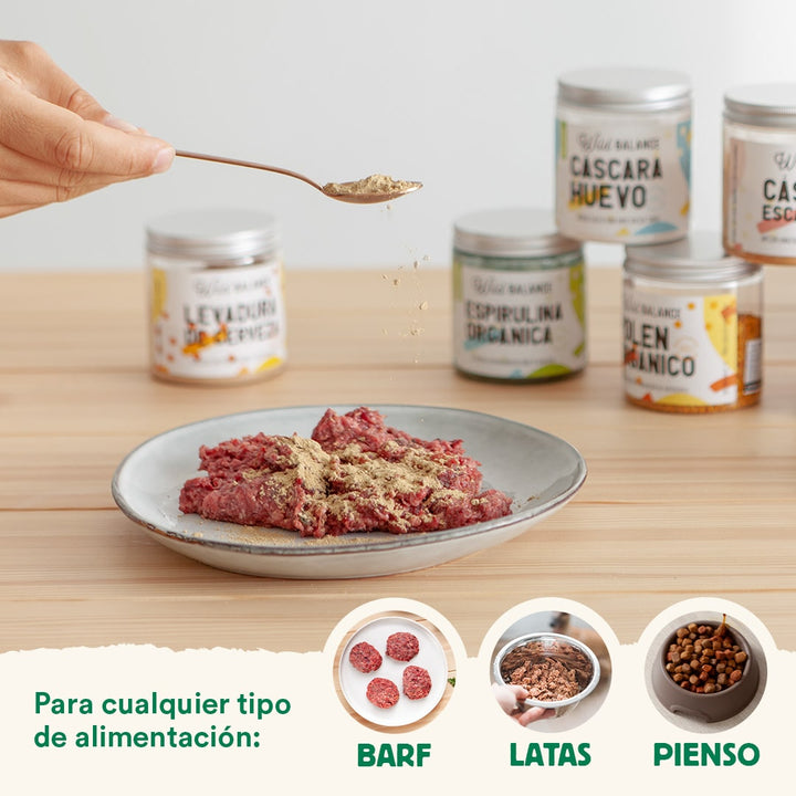 Cúrcuma para Golden Paste-Wild Balance