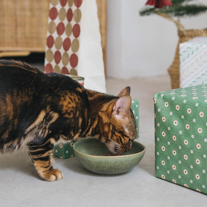 Dieta BARF de Navidad para Gatos | Menú de Pavo-Wild Balance