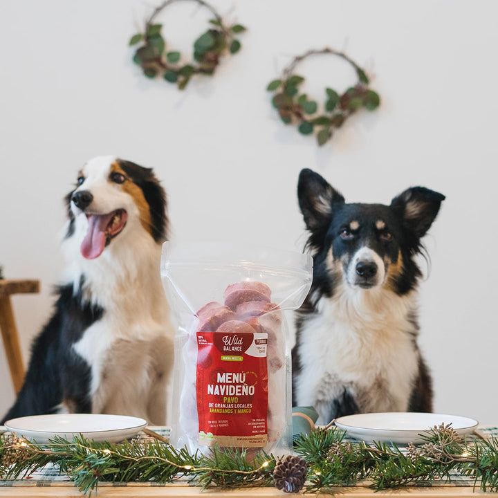 Dieta BARF de Navidad para Perros | Menú de Pavo-Wild Balance