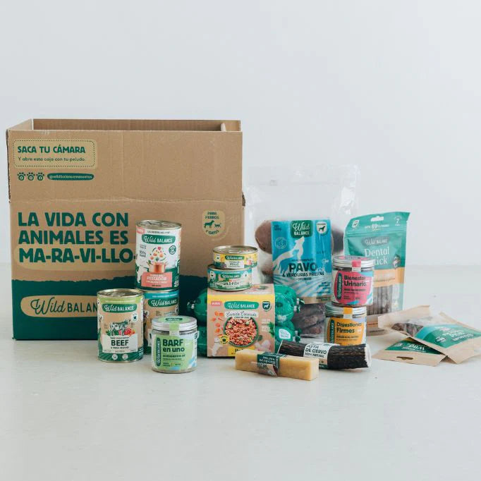 Home_Gato_Accesorios