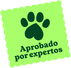 Aprobado por expertos