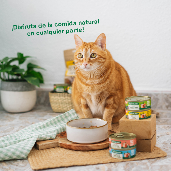 Lata Cazuela de Pollo con verduras para Gatos 80gr-Wild Balance