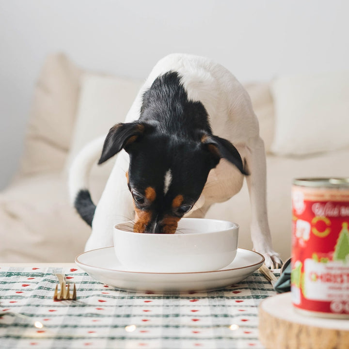 Lata de Comida Cocinada para Perros - Receta Navidad (400g)-Wild Balance