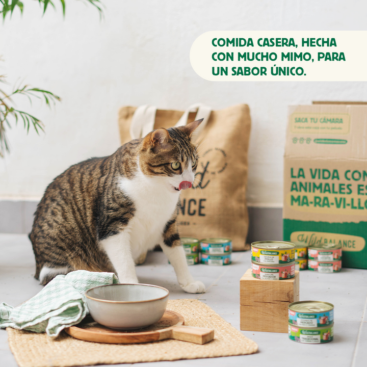 Lata de Ragut Tradicional de Ternera y Pollo para Gatos 80gr-Wild Balance