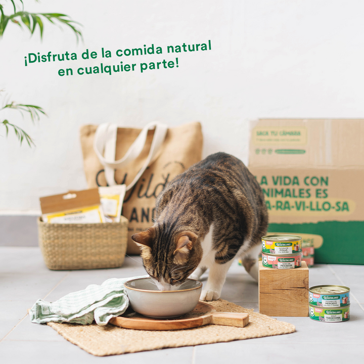 Lata de Ragut Tradicional de Ternera y Pollo para Gatos 80gr-Wild Balance