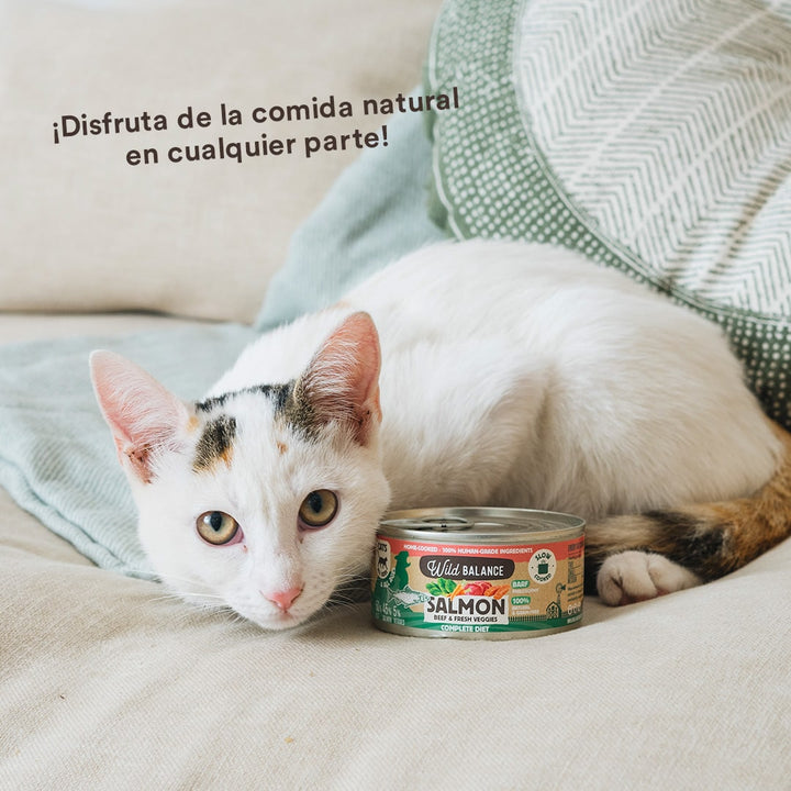 Lata de Salmón y Ternera para gatos 120g - Filosofía BARF-Wild Balance