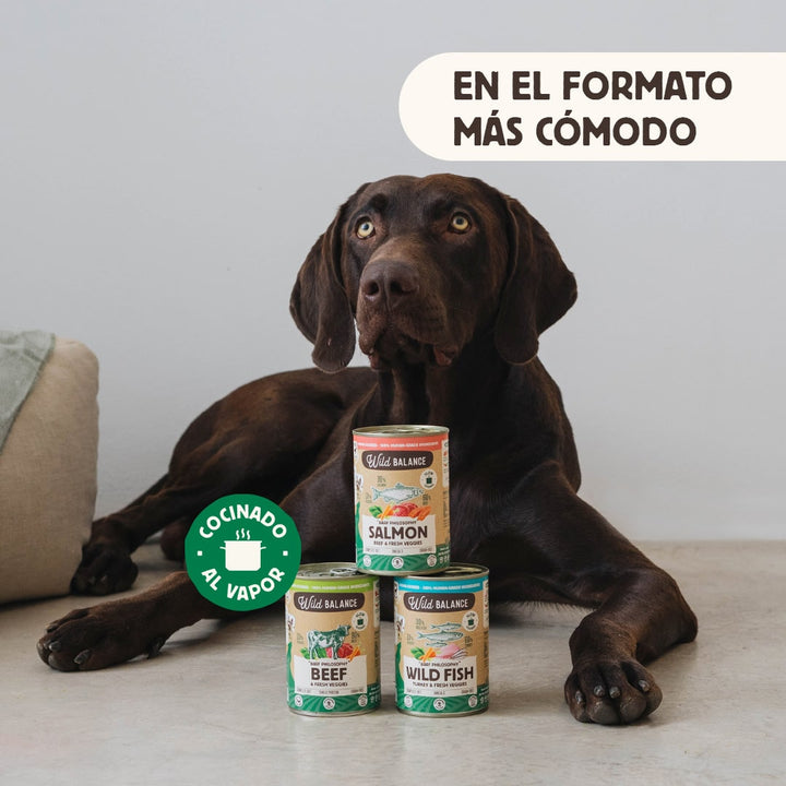 Lata de Salmón y Ternera para perros 400g - Filosofía BARF-Wild Balance