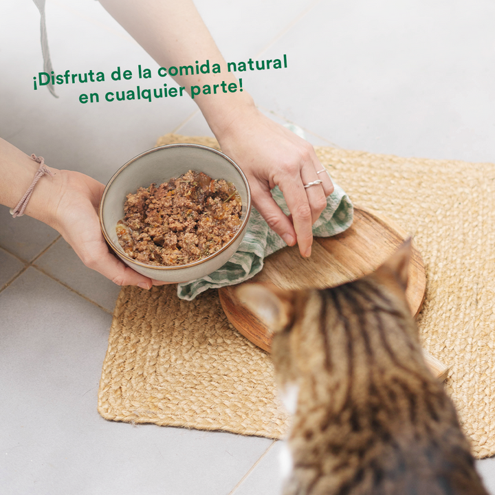 Lata de cerdo para gatos 120g - Filosofía BARF-Wild Balance