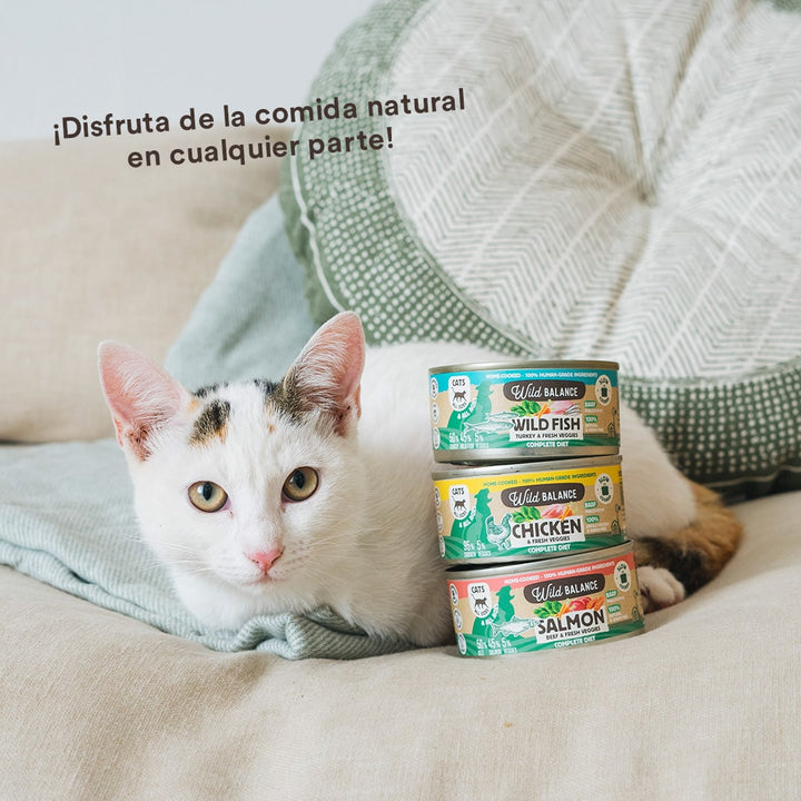 Lata de pollo para gatos 120g - Filosofía BARF-Wild Balance