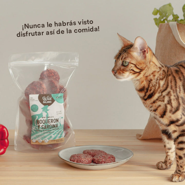 Menú BARF de Boquerón y Sardina para gatos-Wild Balance