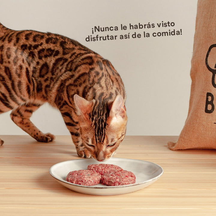 Menú BARF de Pollo con verduras frescas para gatos-Wild Balance