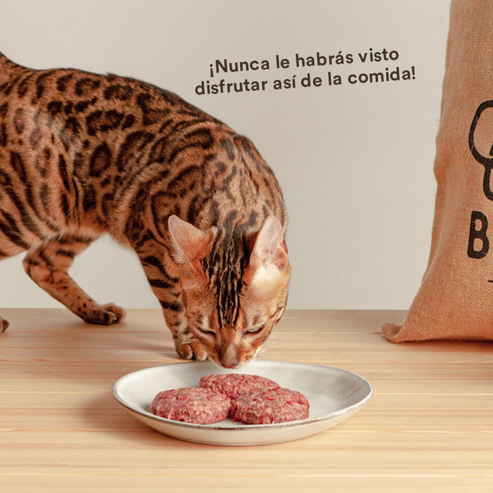 Menú BARF de Salmón con verduras frescas para gatos-Wild Balance