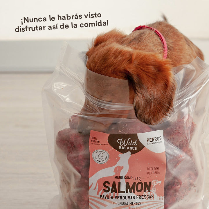 Menú BARF de Salmón con verduras frescas para perros-Wild Balance